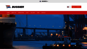 What Bugsier.de website looked like in 2019 (4 years ago)