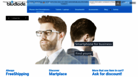 What Bludiode.com website looked like in 2019 (5 years ago)
