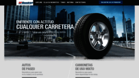 What Bfgoodrich.cl website looked like in 2019 (4 years ago)