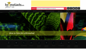 What Bromeliads.info website looked like in 2019 (4 years ago)