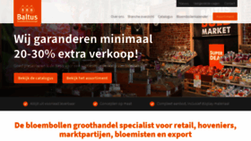 What Bloembollenconcept.nl website looked like in 2019 (4 years ago)