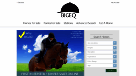 What Bigeq.com website looked like in 2019 (4 years ago)