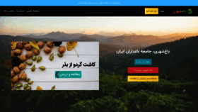What Baghshahri.com website looked like in 2019 (4 years ago)