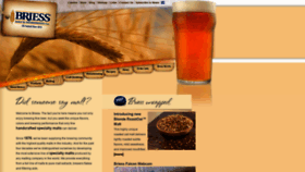 What Brewingwithbriess.com website looked like in 2019 (4 years ago)