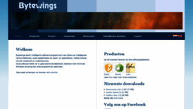 What Bytewings.com website looked like in 2019 (4 years ago)