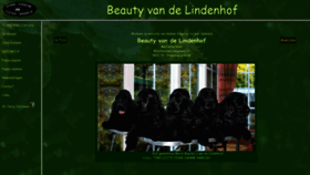 What Beautyvandelindenhof.nl website looked like in 2019 (4 years ago)
