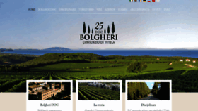 What Bolgheridoc.com website looked like in 2019 (4 years ago)