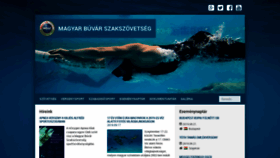 What Buvar.hu website looked like in 2019 (4 years ago)