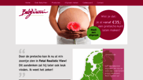 What Babyview.nl website looked like in 2019 (4 years ago)