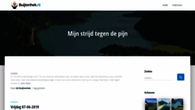 What Buijtenhek.nl website looked like in 2019 (4 years ago)
