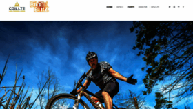 What Bikingblitz.ie website looked like in 2019 (4 years ago)