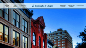 What Burroughschapin.com website looked like in 2019 (4 years ago)