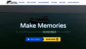 What Bluewaveadventures.com website looked like in 2019 (4 years ago)