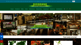 What Bighanna.com website looked like in 2019 (4 years ago)
