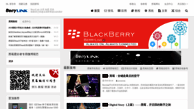 What Berrylink.cn website looked like in 2019 (4 years ago)