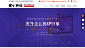 What Bainiuweb.cn website looked like in 2019 (4 years ago)
