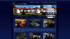 What Bodexcompany.eu website looked like in 2019 (4 years ago)