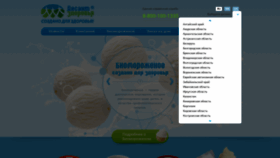 What Bioice.ru website looked like in 2019 (4 years ago)