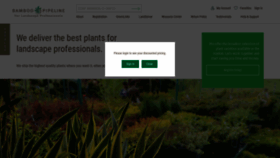 What Bamboopipeline.com website looked like in 2019 (5 years ago)