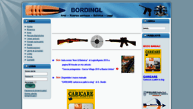 What Bordingl.com website looked like in 2019 (4 years ago)