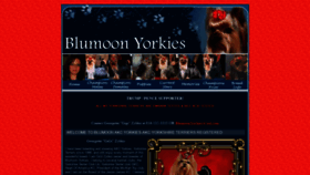 What Blumoonyorkies.com website looked like in 2019 (4 years ago)