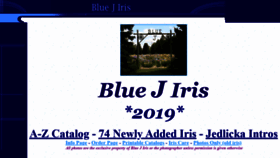 What Bluejiris.com website looked like in 2019 (4 years ago)