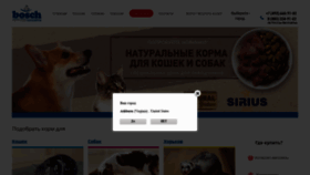 What Bosch-club.ru website looked like in 2019 (4 years ago)