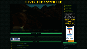 What Bestcareanywhere.net website looked like in 2019 (4 years ago)