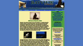 What Bayviewidaho.org website looked like in 2019 (4 years ago)