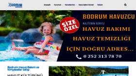 What Bodrumhavuzcu.com website looked like in 2019 (4 years ago)