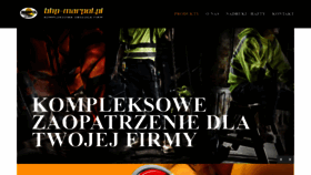 What Bhp-marpol.pl website looked like in 2019 (5 years ago)