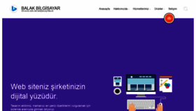 What Balakbilgisayar.com website looked like in 2019 (4 years ago)