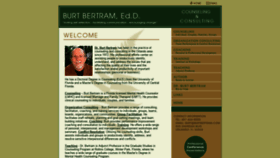 What Burtbertram.com website looked like in 2019 (4 years ago)
