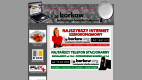What Borkow.org website looked like in 2019 (4 years ago)