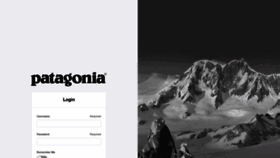 What B2b.patagonia.com website looked like in 2019 (4 years ago)