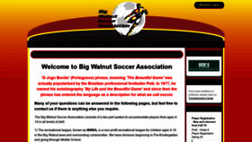 What Bigwalnutsoccer.com website looked like in 2019 (4 years ago)