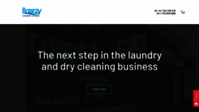 What Breezyll.com website looked like in 2019 (5 years ago)