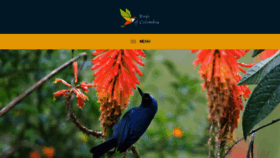 What Birdsofcolombia.com website looked like in 2019 (4 years ago)
