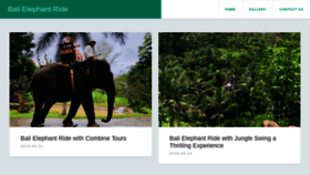 What Balielephantride.net website looked like in 2019 (4 years ago)