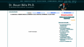 What Bauerbela.ro website looked like in 2019 (4 years ago)