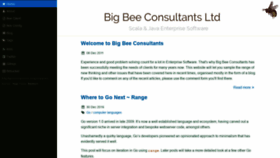 What Bigbeeconsultants.co.uk website looked like in 2019 (4 years ago)