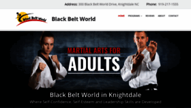 What Blackbeltworld.com website looked like in 2019 (4 years ago)