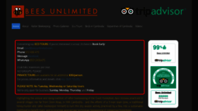 What Beesunlimited.com website looked like in 2019 (4 years ago)