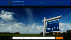What Bluemountainrealtors.com website looked like in 2019 (4 years ago)