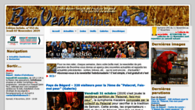 What Bvonline.fr website looked like in 2019 (4 years ago)