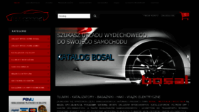 What Bosgaraz.pl website looked like in 2019 (4 years ago)