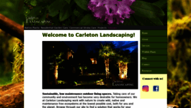 What Burnabylandscaping.com website looked like in 2019 (4 years ago)