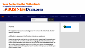 What Business-developer.nl website looked like in 2019 (4 years ago)
