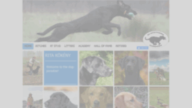 What Blackthorngundogs.com website looked like in 2019 (4 years ago)