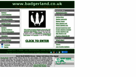 What Badgerland.co.uk website looked like in 2019 (4 years ago)